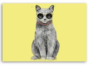 Gario Vászonkép Macska szemüveggel - Rykker Méret: 60 x 40 cm