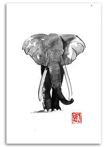 Gario Vászonkép Fekete-fehér elefánt - Péchane Méret: 40 x 60 cm