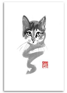 Gario Vászonkép Fiatal cica - Péchane Méret: 40 x 60 cm