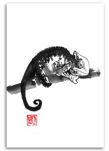 Gario Vászonkép Kaméleon fekete-fehér - Péchane Méret: 40 x 60 cm