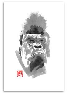 Gario Vászonkép Gorilla - Péchane Méret: 40 x 60 cm
