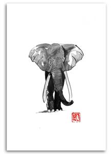 Gario Vászonkép Elefánt séta - Péchane Méret: 40 x 60 cm