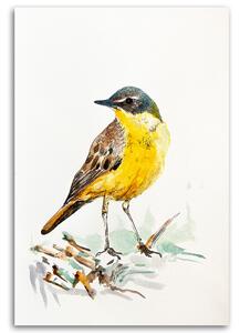 Gario Vászonkép Sárga madár - Dorota Martynska Méret: 40 x 60 cm