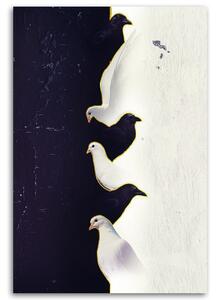 Gario Vászonkép Három fehér galamb - Patryk Andrzejewski Méret: 40 x 60 cm