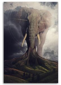 Gario Vászonkép Gyökeres elefánt - Patryk Andrzejewski Méret: 40 x 60 cm