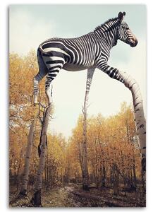 Gario Vászonkép Zebra és nyírfa lábak - Patryk Andrzejewski Méret: 40 x 60 cm