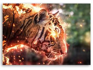 Gario Vászonkép Lángoló tigris - Alex Griffith Méret: 60 x 40 cm