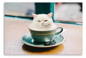 Gario Vászonkép Fehér macska csésze kávé - Galina Bugaevskaya Méret: 60 x 40 cm