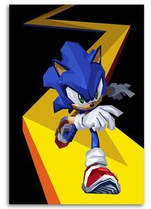 Gario Vászonkép Sonic - Nikita Abakumov Méret: 40 x 60 cm
