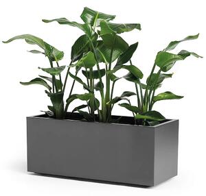 Virágláda Nature 100 x 40 cm több színben -