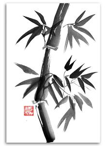 Gario Vászonkép Szép fekete-fehér bambusz - Péchane Méret: 40 x 60 cm