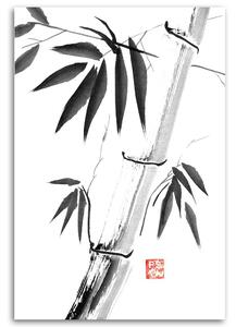 Gario Vászonkép Fekete-fehér bambusz - Péchane Méret: 40 x 60 cm