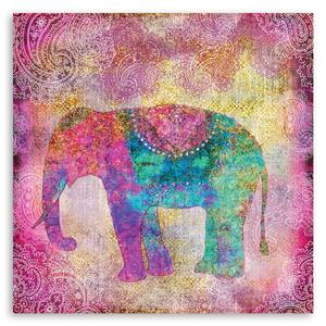 Gario Vászonkép Indiai elefánt - Andrea Haase Méret: 30 x 30 cm