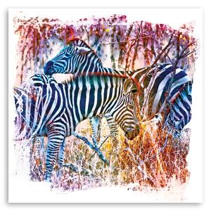 Gario Vászonkép Kék zebrák nyája - Andrea Haase Méret: 30 x 30 cm