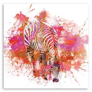 Gario Vászonkép Színesen festett zebra - Andrea Haase Méret: 30 x 30 cm