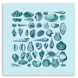 Gario Vászonkép Kék kis kagylók - Andrea Haase Méret: 30 x 30 cm