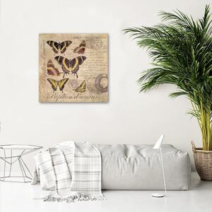 Gario Vászonkép Pillangók bézs háttéren - Andrea Haase Méret: 30 x 30 cm