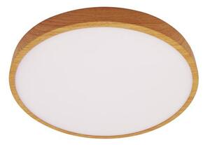 Italux Riberio - IT-PLF-75689-WD-3K