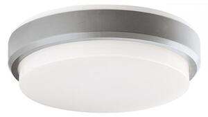 VIOKEF Outdoor PC Ceiling Lamp Silver Tinos - VIO-4171700