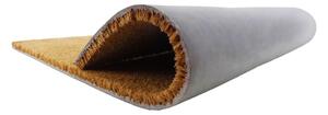 Kókuszrost lábtörlő 40x60 cm Dachshund – Artsy Doormats