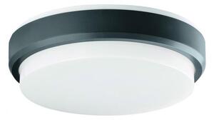 VIOKEF Outdoor Ceiling Lamp Dark Grey Tinos - VIO-4171701