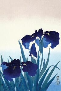 Plakát Ohara Koson - Iris Flowers, (61 x 91.5 cm)