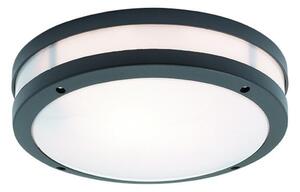 VIOKEF Outdoor Ceiling Lamp Dark Gray Chios - VIO-4081701