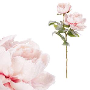 Mű pünkösdi rózsa, 2 virág, rózsaszín