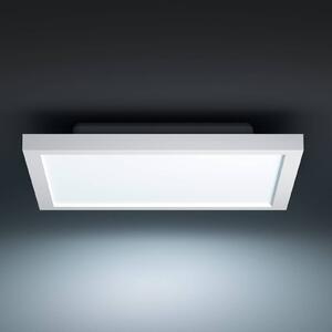Philips Hue White Ambiance Aurelle 30x30cm fehér
