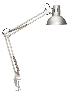 MAULstudy csíptetős világítás, ezüst színű, magasság 44 cm, fém