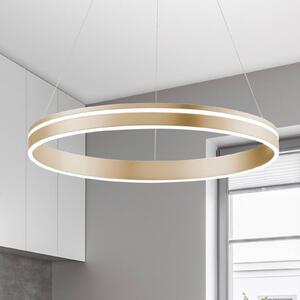 Q-Smart-Home Paul Neuhaus Q-VITO LED függő lámpa, 1 gyűrű, dimmelhető, Sárgaréz / arany, Nappali / Étkező, fém, Modern