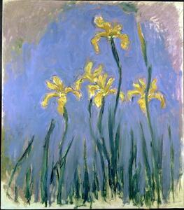 Monet, Claude - Festmény reprodukció Yellow Irises; Les Iris Jaunes, c.1918-1925, (35 x 40 cm)