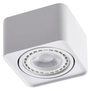 Spotlámpa Paola 1 230V fehér
