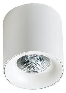 Led spotlámpa Mane 30W fehér