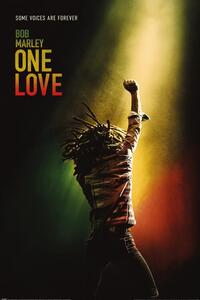 Plakát Bob Marley - One Love, (61 x 91.5 cm)