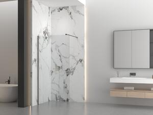 Erga Paris, Beépíthető zuhanykabin 50x200 cm, 8 mm-es átlátszó üveg, grafit profil, ERG-V02-PARIS-050x200-CL-GG