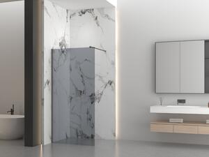 Erga Paris, Beépíthető zuhanykabin 30x200 cm, 8 mm-es szürke üveg, grafit profil, ERG-V02-PARIS-030x200-GR-GG