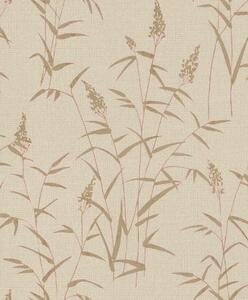 Nem szőtt tapéta falra rasch deco style 312928