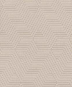 Nem szőtt tapéta falra rasch deco style 312522