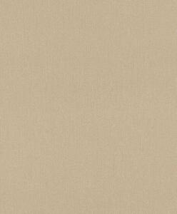 Nem szőtt tapéta falra rasch deco style 312416
