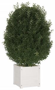 VidaXL fehér kerti tömör fenyőfa virágtartó 40 x 40 x 40 cm