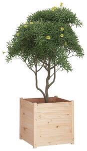 VidaXL tömör fenyőfa kerti virágtartó 60x60x60 cm