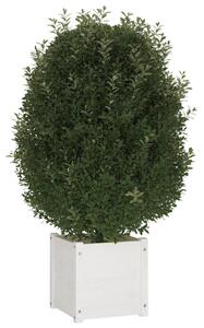 VidaXL 2 db fehér tömör fenyőfa kerti virágtartó 40 x 40 x 40 cm