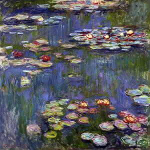 Water Lilies, 50 x 50 cm - Claude Monet másolat