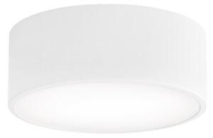 Temar Fürdőszobai mennyezeti lámpa CLEO 1xE27/24W/230V átm. 20 cm fehér IP54 TM0130