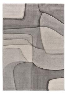 Szürke szőnyeg 140x200 cm Medel – Universal
