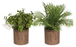 Műnövény szett 2 db-os (magasság 22 cm) – Casa Selección