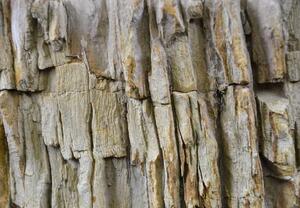 DIVERO Mosdókagyló természetes kőből - FOSSIL