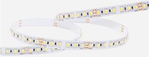 TW Essential 24V LED szalag