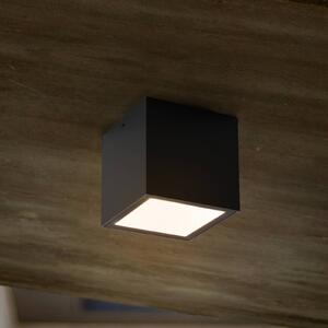 LED külső lámpa Gemini XS, 4 000 K, antracit